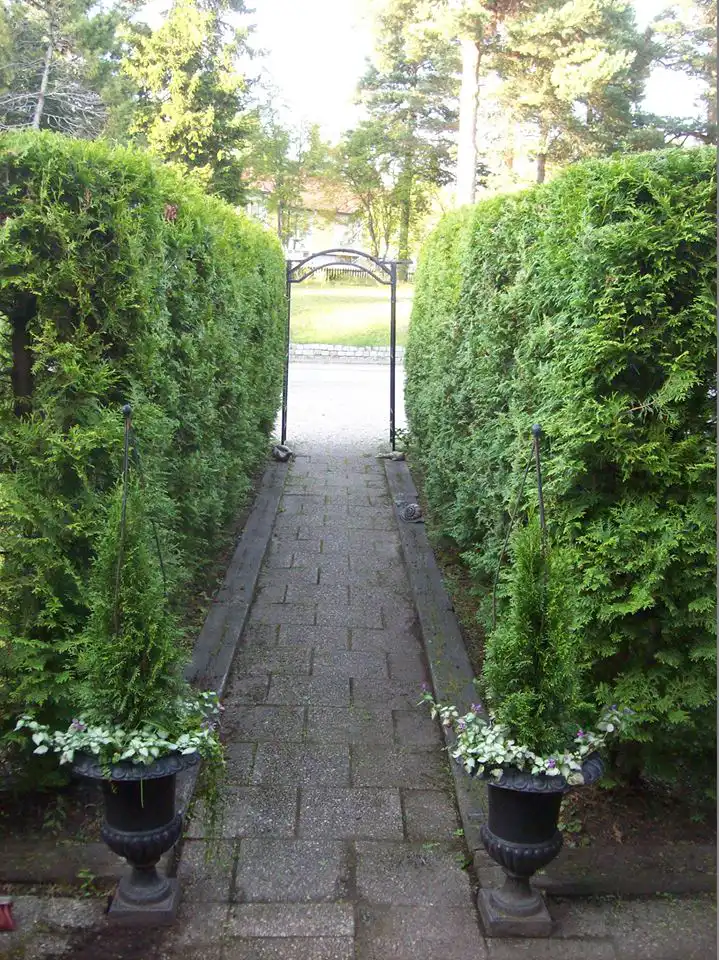 jolgab-tradgardstjanst-tuja-01