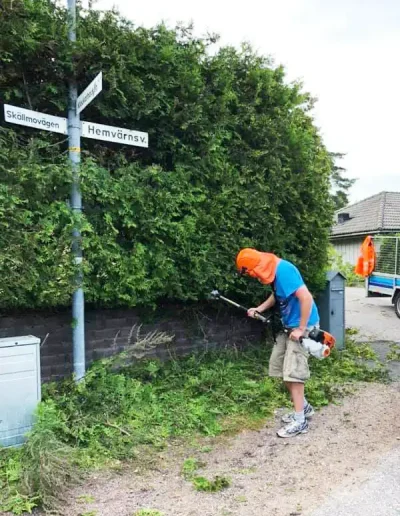 Häckklippning av JOLGAB Trädgårdstjänst