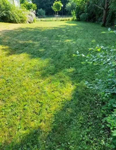 Gräsklippning av JOLGAB Trädgårdstjänst