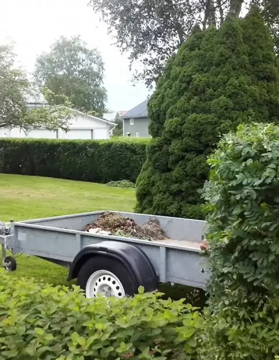 Häckklippning av JOLGAB Trädgårdstjänst