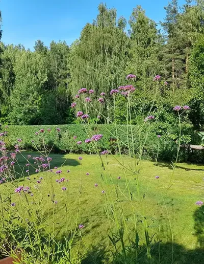 Häckklippning av JOLGAB Trädgårdstjänst